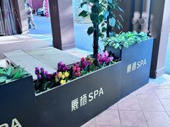 -鹿栖.精油SPA(金山世纪城店)