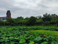 -美兰湖景区