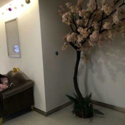 -美莱医学美容医院