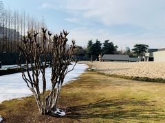 -侵华日军南京大屠杀遇难同胞纪念馆-停车场
