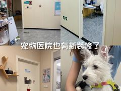 -美联众合爱康动物医院•复杂内科•肿瘤科•牙科•腔镜诊疗中心