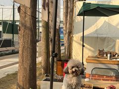 -云间粮仓