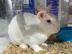 -上海三联书店READWAY(华中首店)