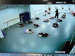 -西安小天鹅艺术团(金花路校区)