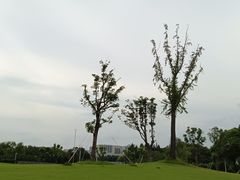 -新江湾城公园
