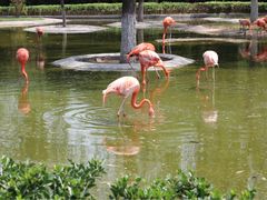 -石家庄市动物园