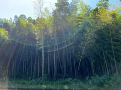 -同里国家湿地公园