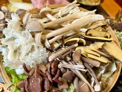 -阿山卓·野生菌火锅·纳西火塘烤肉