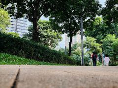 -景田北六街公园宠物主题园
