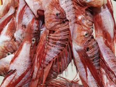 -羊栏农贸市场(羊新路店)