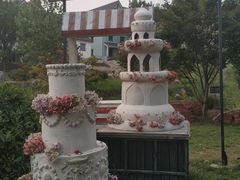 -大塘金香草谷