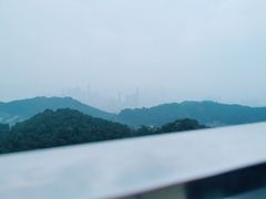 -大金鹰园