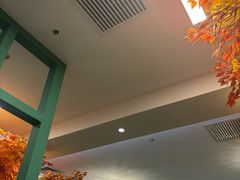 -君邦火锅(新疆大厦店)