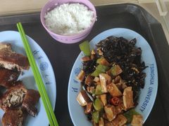 -清华大学-清芬园