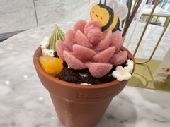 -哈根达斯(大悦城店)