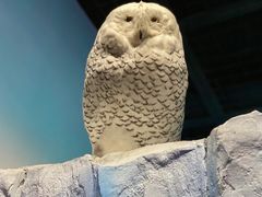 -陕西自然博物馆