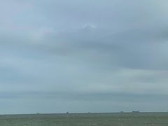 -蟹谢蒸鲜自助餐厅