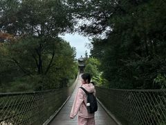 -铁山坪森林公园