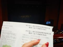 -合肥大剧院