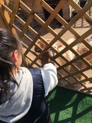 -萌宠亲子动物乐园(槐房万达店)