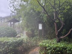 -汤山一号温泉度假区