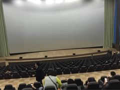 天幕新彩云国际影城-天幕新彩云国际影城(激光巨幕店)