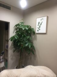 -丽雅朵云皮肤管理中心