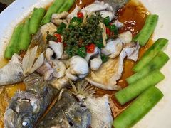 -猪肉婆私房菜(容桂总店)