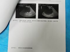 -喜多萌中农锦绣动物医院24H·猫科·牙科MRI·CT