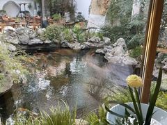 -鲤院·新中式美学·庭院餐厅(夫子庙店)