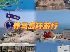 -养马岛旅游度假区