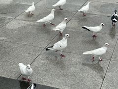 -海河外滩公园