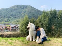 -径山寺
