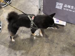 -香港会议展览中心演讲厅