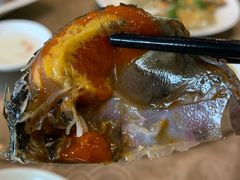 -百年银屏蚝烙·潮汕菜·非遗(乐山店)