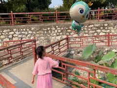 -保定市动物园