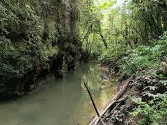 -怀托摩萤火虫洞