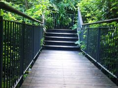 -燕晗山郊野公园