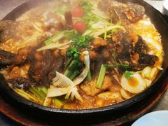 -老板恋上鱼(恒隆广场店)