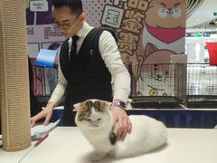 -天虹购物中心(石路店)