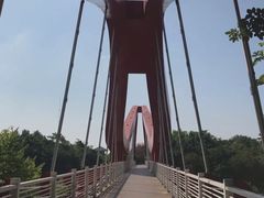 -玉树公园