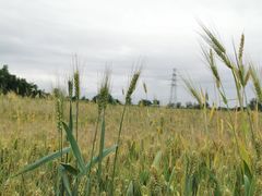 -汉长安城未央宫国家考古遗址公园