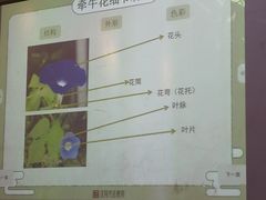 -汉翔书法丨书法·美术·硬笔·国画(望京校区)