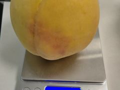 -樂桃源奉贤黄桃种植采摘基地