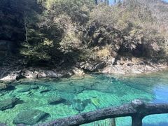 -石台牯牛降景区