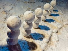 -顺德南宏海立方海洋公园