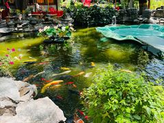 -白家大院·王府宫廷菜(苏州街店)