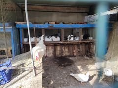 -天毓山庄·餐厅