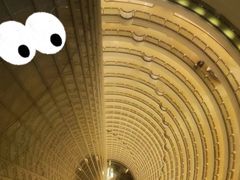 -上海金茂大厦88层观光厅