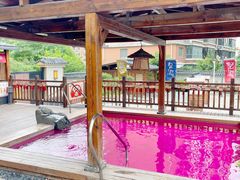 -大江户·温泉洗浴(浑南店)